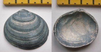 &copy; Thijs de Boer